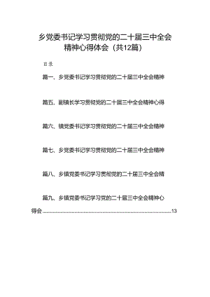 乡党委书记学习贯彻党的二十届三中全会精神心得体会【12篇】.docx
