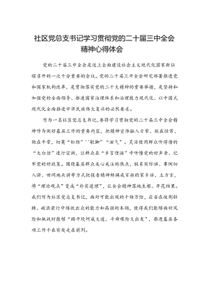 社区党总支书记学习贯彻党的二十届三中全会精神心得体会.docx
