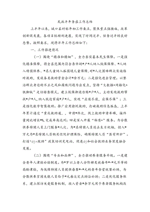 民政半年务虚工作总结.docx