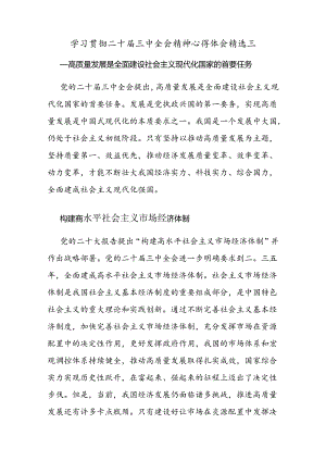 学习贯彻二十届三中全会精神心得体会精选三.docx