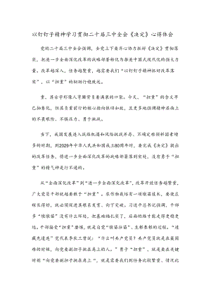 以钉钉子精神学习贯彻二十届三中全会《决定》心得体会.docx