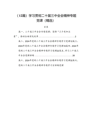 （12篇）学习贯彻二十届三中全会精神专题党课（精选）.docx