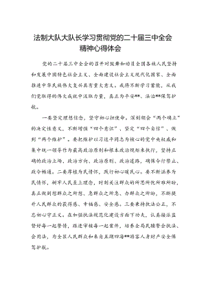 法制大队大队长学习贯彻党的二十届三中全会精神心得体会.docx
