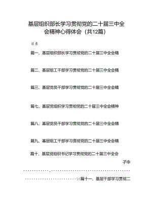 基层组织部长学习贯彻党的二十届三中全会精神心得体会12篇（详细版）.docx