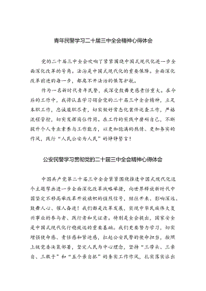 青年民警学习二十届三中全会精神心得体会优选8篇.docx