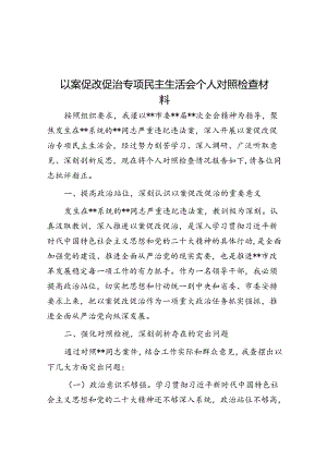 以案促改促治专题民主生活会个人对照检查材料.docx
