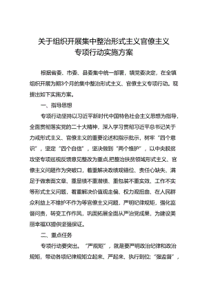 镇关于组织开展集中整治形式主义官僚主义专项行动实施方案.docx