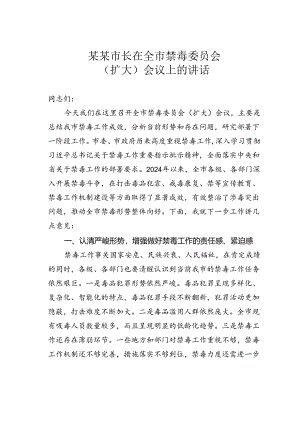 某某市长在全市禁毒委员会（扩大）会议上的讲话.docx