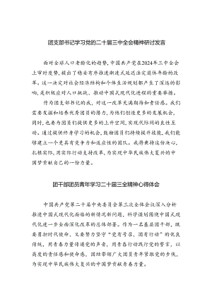 团支部书记学习党的二十届三中全会精神研讨发言（共五篇）.docx