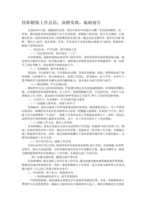 挂职锻炼工作总结：深耕实践砥砺前行.docx