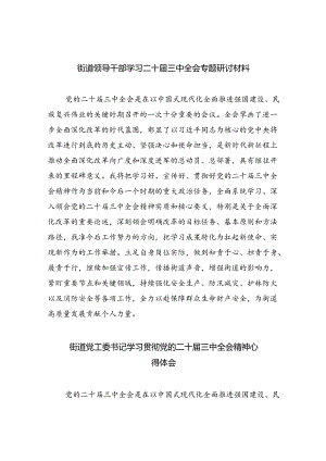街道领导干部学习二十届三中全会专题研讨材料（共五篇）.docx