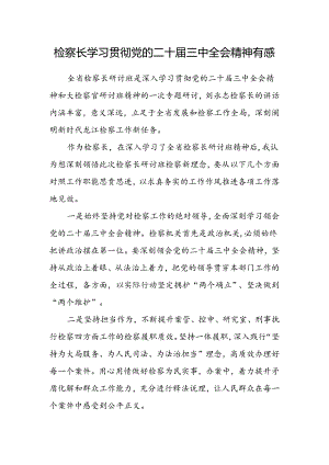 检察长学习贯彻党的二十届三中全会精神有感.docx