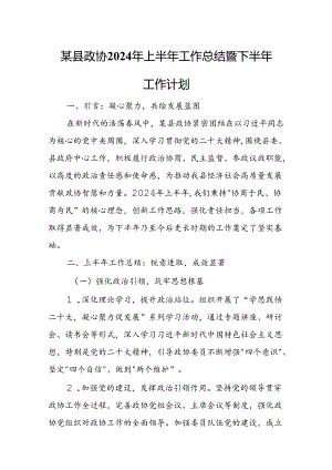 某县政协2024年上半年工作总结暨下半年工作计划.docx