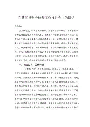 在某某县财会监督工作推进会上的讲话.docx