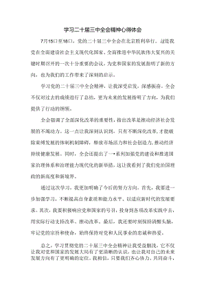 2024学习二十届三中全会精神心得体会三.docx