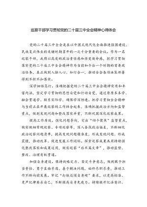 （9篇）巡察干部学习贯彻党的二十届三中全会精神心得体会集合.docx