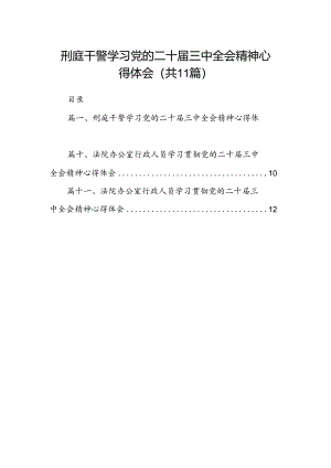 （11篇）刑庭干警学习党的二十届三中全会精神心得体会范文.docx