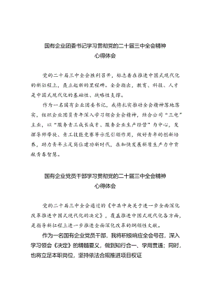 国有企业团委书记学习贯彻党的二十届三中全会精神心得体会5篇（精选版）.docx