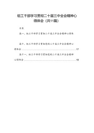 （11篇）组工干部学习贯彻二十届三中全会精神心得体会（精选）.docx