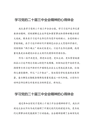 学习党的二十届三中全会精神心得感悟四十篇.docx
