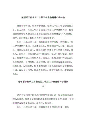 基层团干部学习二十届三中全会精神心得体会8篇（最新版）.docx