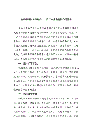 （9篇）巡察组组长学习党的二十届三中全会精神心得体会范文.docx