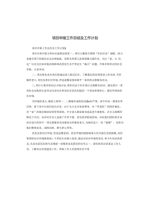 项目申报工作总结及工作计划.docx