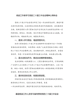 统战工作者学习党的二十届三中全会精神心得体会(5篇集合).docx