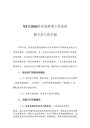 XX县2024年应急管理工作总结和下步工作计划.docx