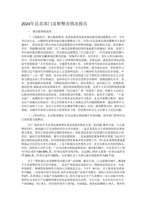 2024年县直部门巡察整改情况报告.docx