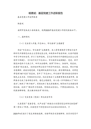 杨善斌：基层党建工作述职报告.docx