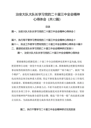 治安大队大队长学习党的二十届三中全会精神心得体会12篇（详细版）.docx