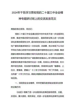 2024年干部学习贯彻党的二十届三中全会精神专题研讨班上的交流发言范文.docx