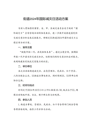 街道社区开展2024年国际减灾日活动方案.docx