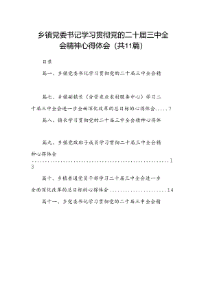（11篇）乡镇党委书记学习贯彻党的二十届三中全会精神心得体会汇编.docx