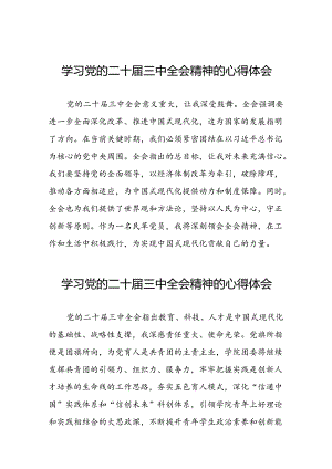 学习党的二十届三中全会精神心得体会精选合集四十篇.docx