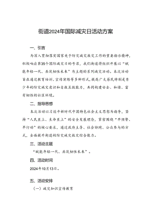 街道2024年国际减灾日活动的工作方案.docx