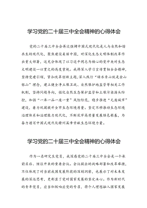 2024年党的二十届三中全会精神学习体会简要版四十篇.docx