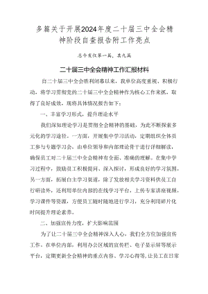 多篇关于开展2024年度二十届三中全会精神阶段自查报告附工作亮点.docx