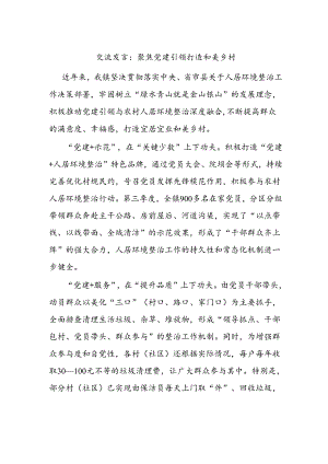 交流发言：聚焦党建引领 打造和美乡村.docx