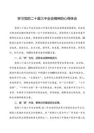 2024学习贯彻党的二十届三中全会精神心得体会模板三十篇.docx