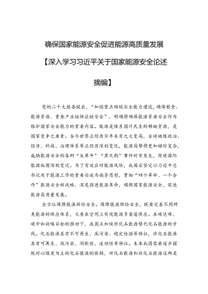 确保国家能源安全+促进能源高质量发展.docx