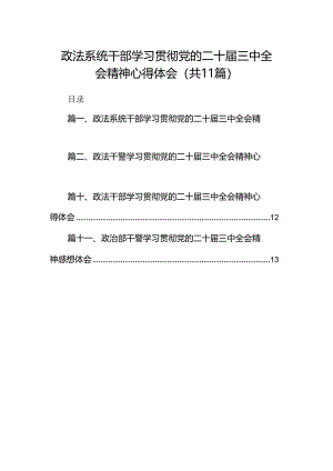 （11篇）政法系统干部学习贯彻党的二十届三中全会精神心得体会范文.docx