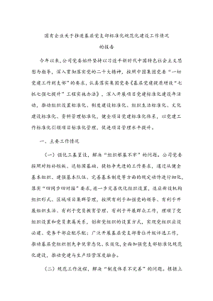 国有企业关于推进基层党支部标准化规范化建设工作情况的报告.docx