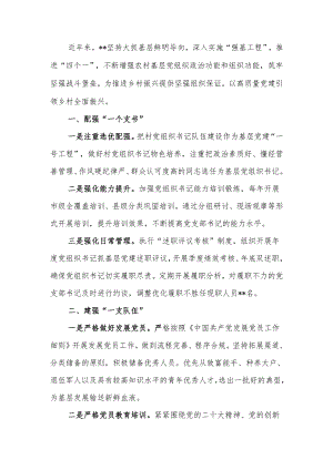 2024年上半年抓党建促乡村振兴工作总结.docx