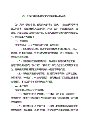 (六篇)2024年关于开展违规吃喝专项整治的工作方案范文.docx
