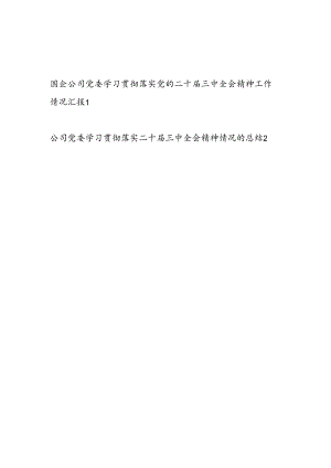国企公司党委学习贯彻落实党的二十届三中全会精神工作情况总结汇报2篇.docx