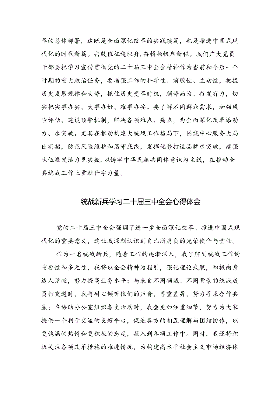(9篇)统战委员学习贯彻党的二十届三中全会精神心得体会(精选).docx_第2页