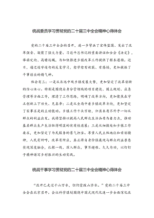 （9篇）统战委员学习贯彻党的二十届三中全会精神心得体会（精选）.docx