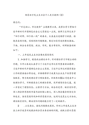 领导班子民主生活会个人发言提纲（2）.docx